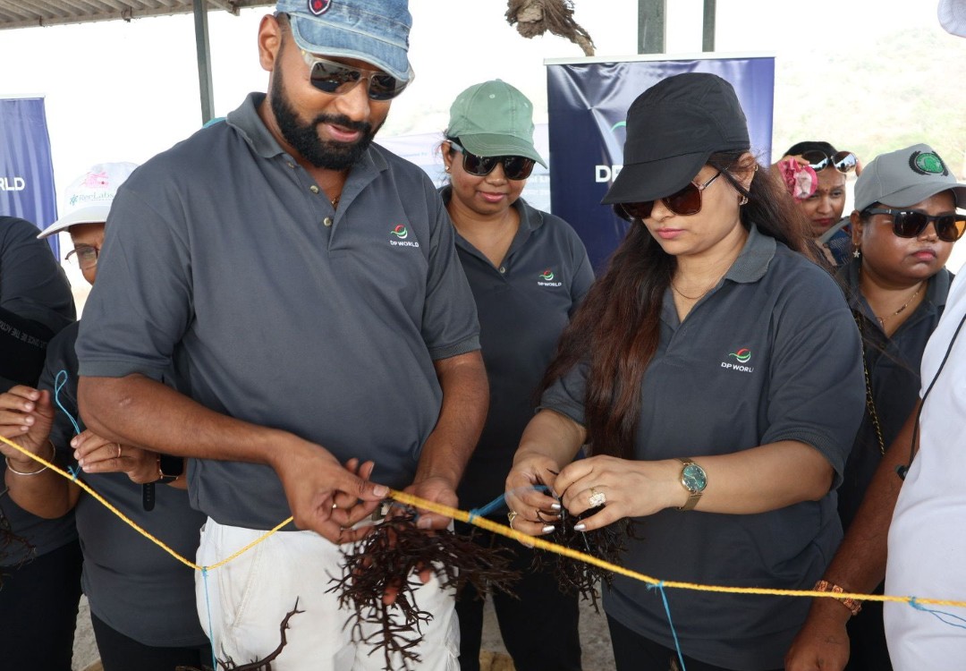 हवामान बदलचा सामना करत समुद्री शेवाळ शेतीचा प्रयोग