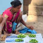 शहपूरात रानमेवा दाखल कैऱ्या,करवंद,तोरणं विक्रीसाठी दाखल आदिवासींना मिळाला रोजगार