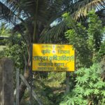 कृषी विभागाच्या योजनात  शेतकरी, शासनालाही ‘चुना’?