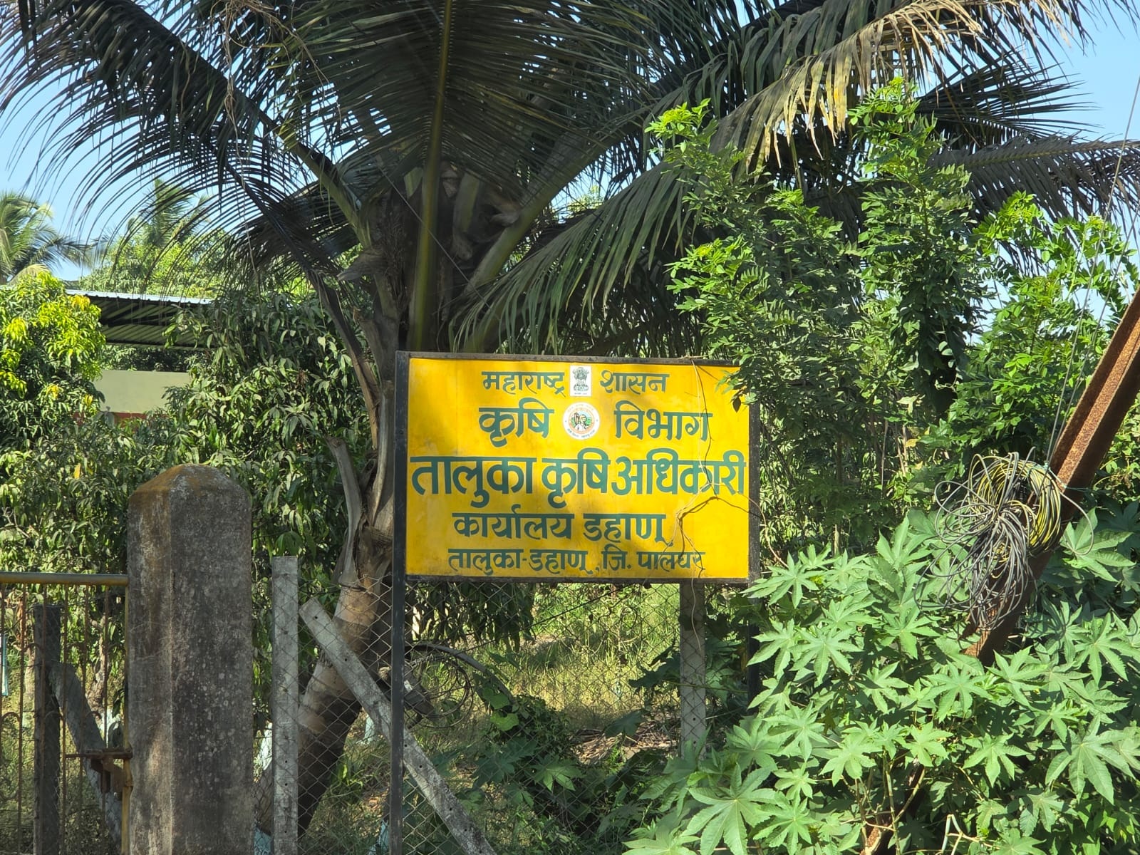 कृषी विभागाच्या योजनात  शेतकरी, शासनालाही ‘चुना’?